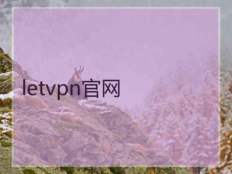 letvpn官网