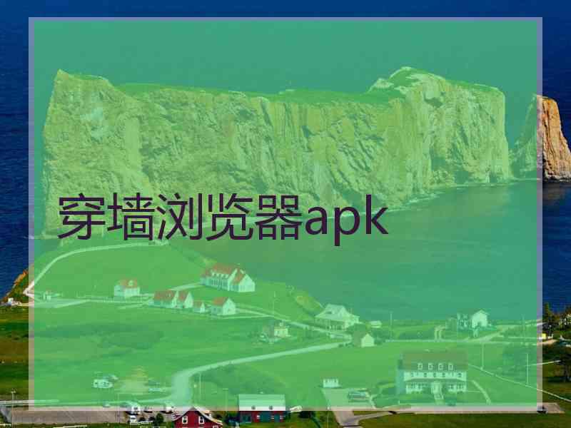 穿墙浏览器apk