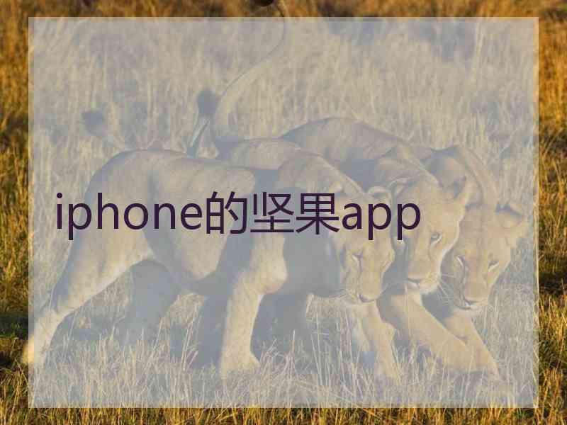 iphone的坚果app