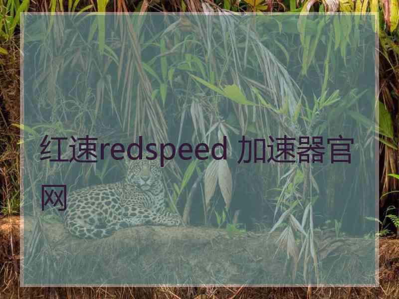 红速redspeed 加速器官网