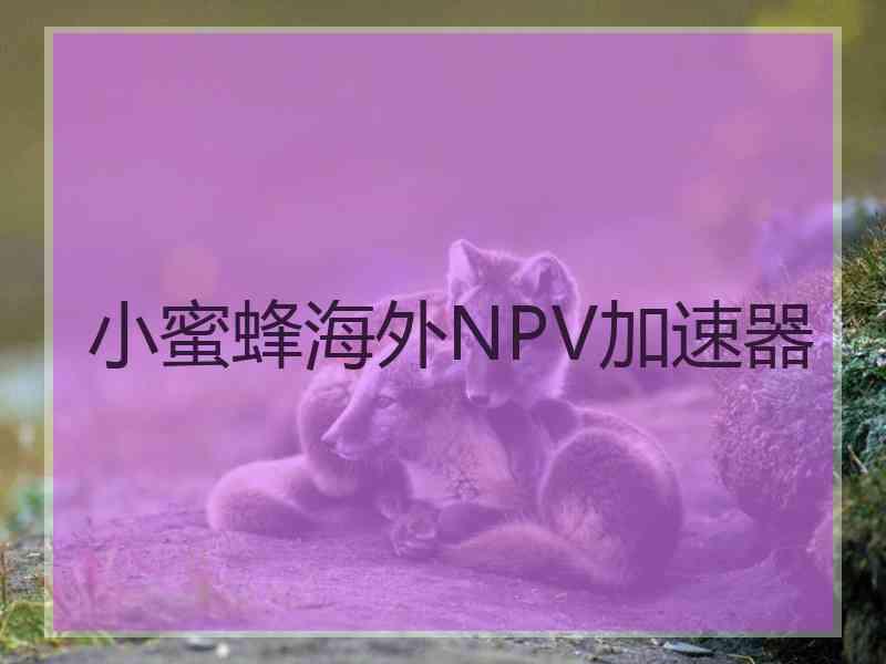 小蜜蜂海外NPV加速器