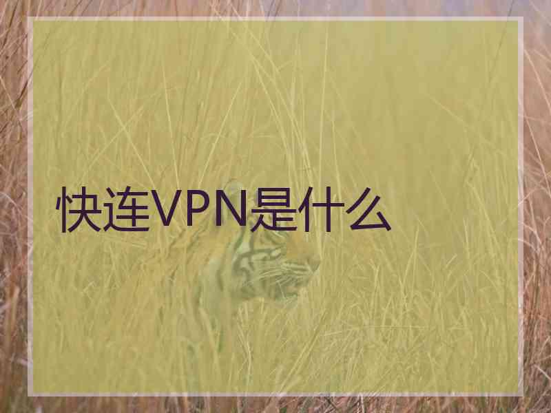 快连VPN是什么