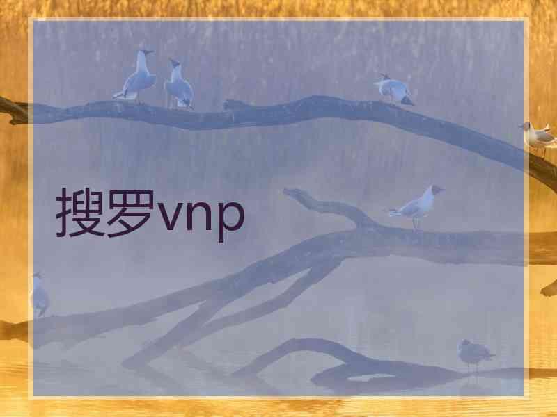 搜罗vnp