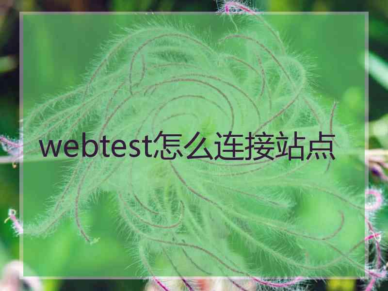 webtest怎么连接站点