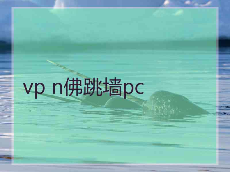 vp n佛跳墙pc