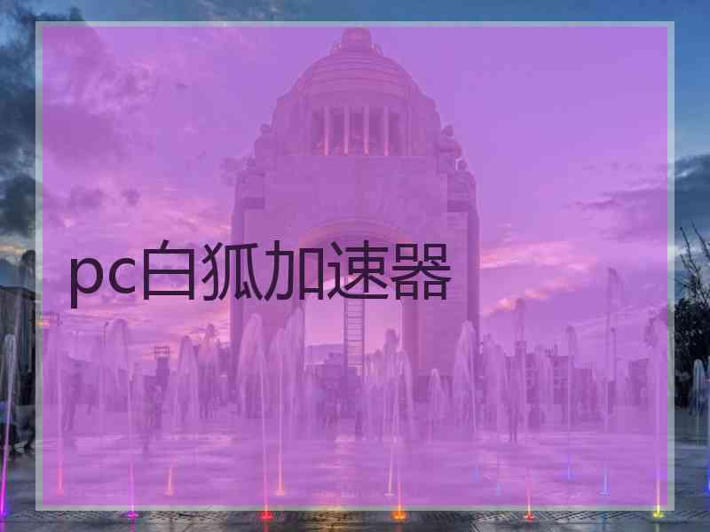 pc白狐加速器