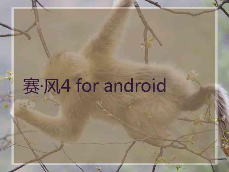 赛·风4 for android