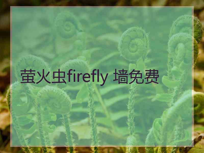 萤火虫firefly 墙免费