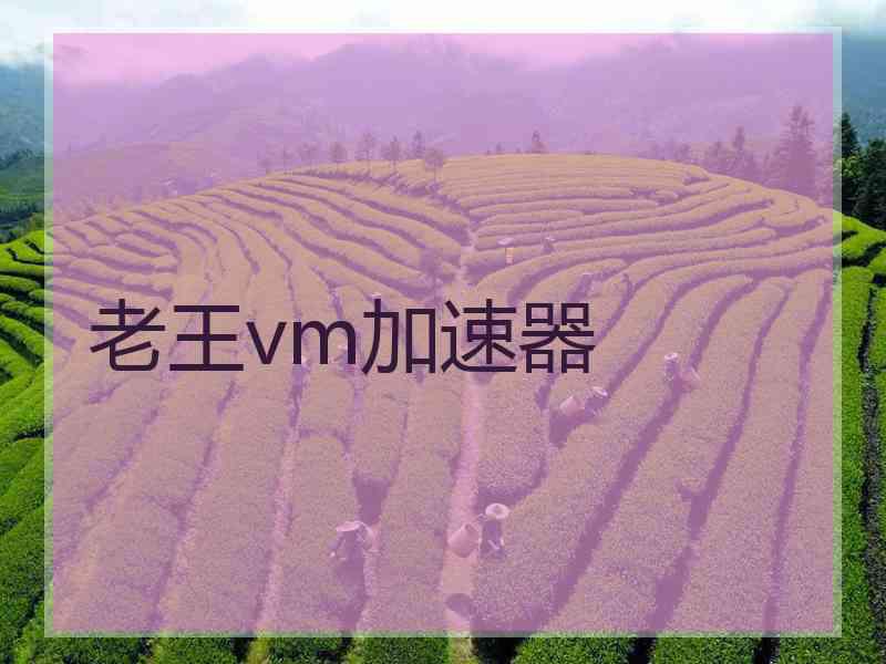 老王vm加速器