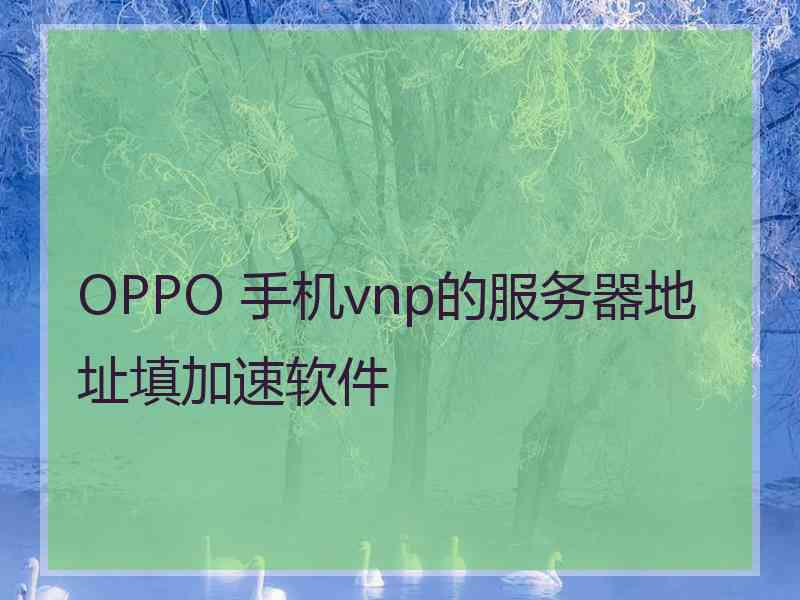 OPPO 手机vnp的服务器地址填加速软件