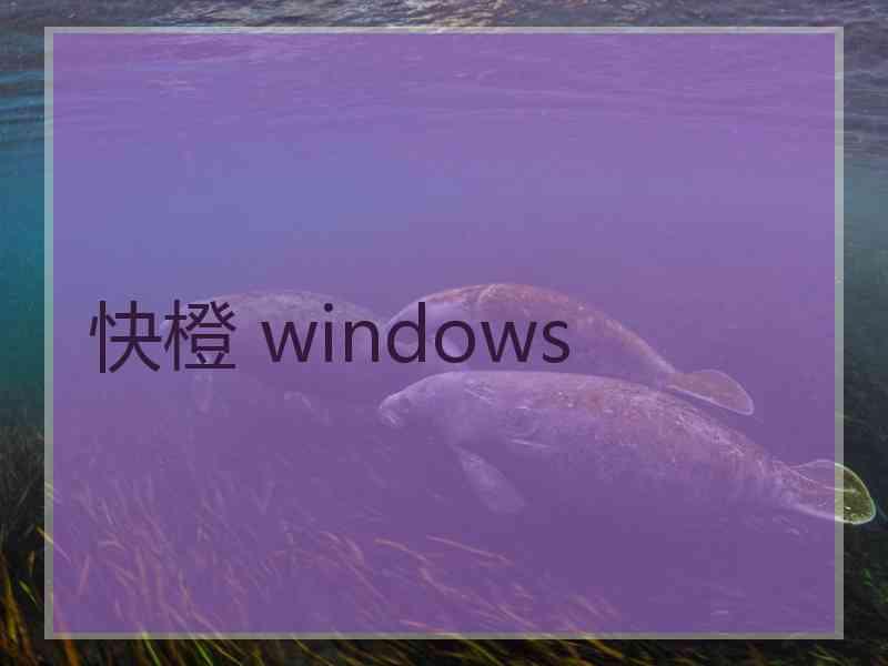 快橙 windows