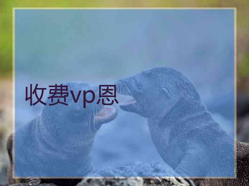 收费vp恩