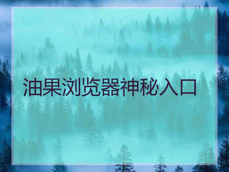 油果浏览器神秘入口