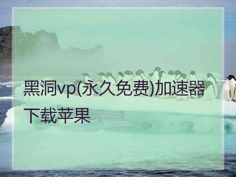 黑洞vp(永久免费)加速器下载苹果