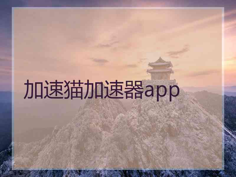 加速猫加速器app