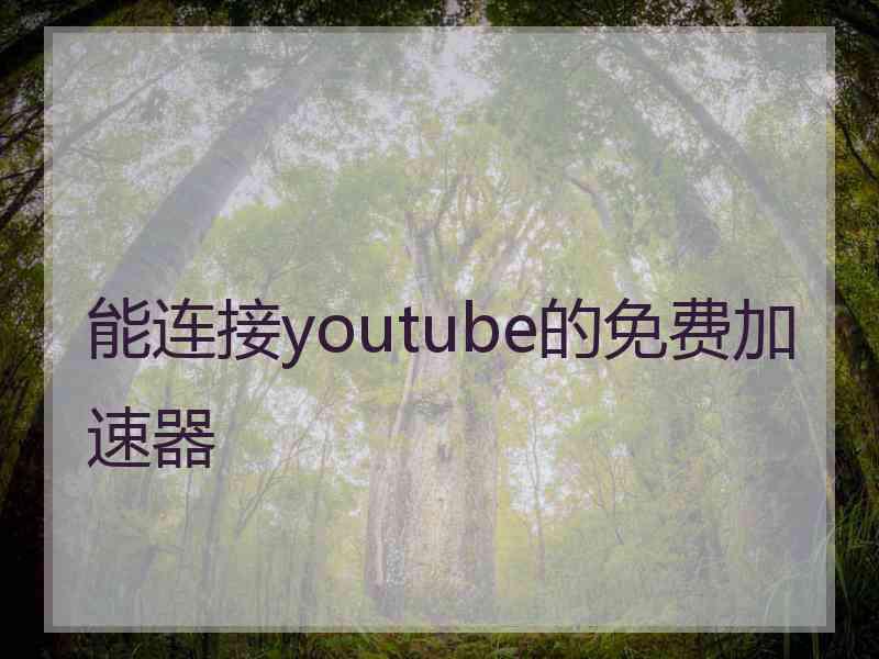 能连接youtube的免费加速器