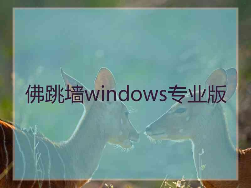 佛跳墙windows专业版