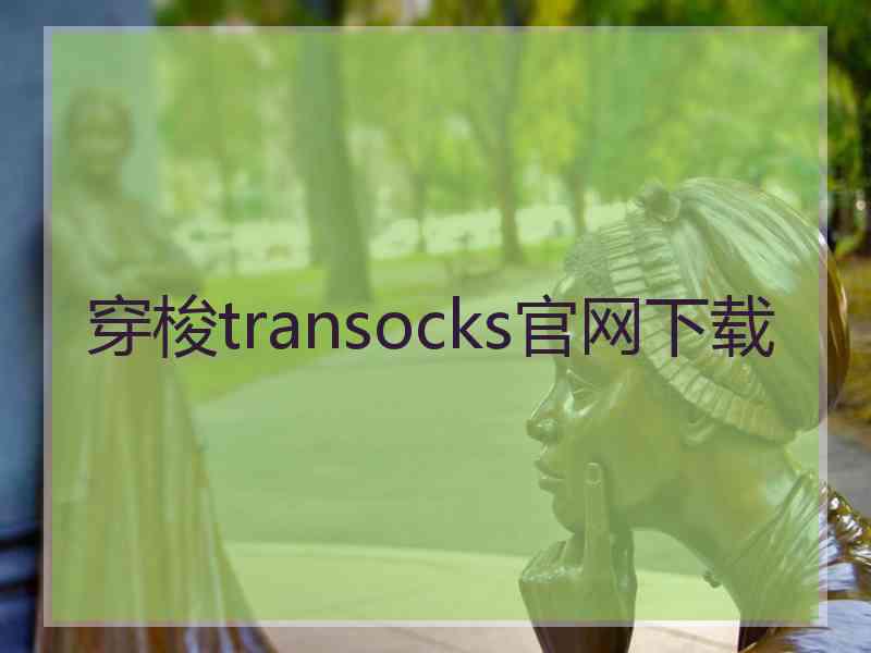 穿梭transocks官网下载