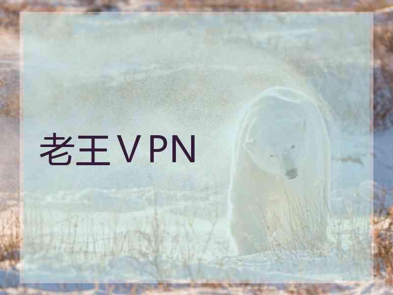 老王ⅤPN