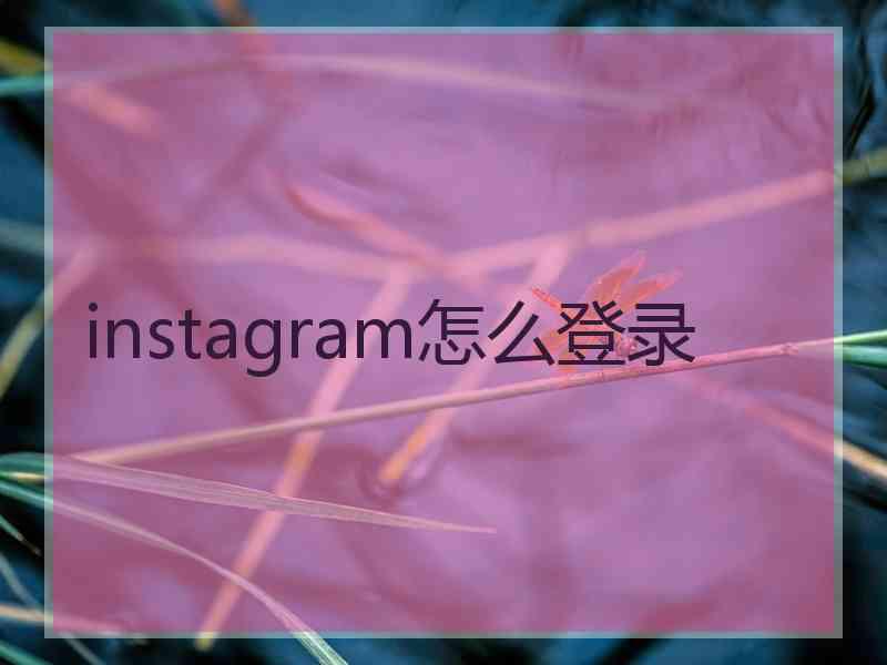 instagram怎么登录