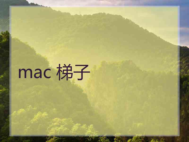 mac 梯子