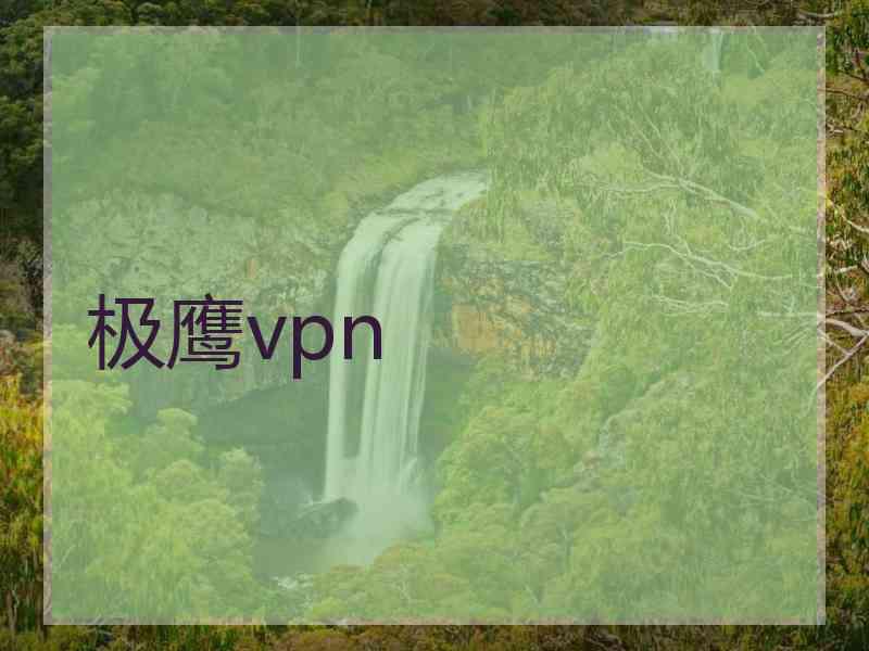 极鹰vpn