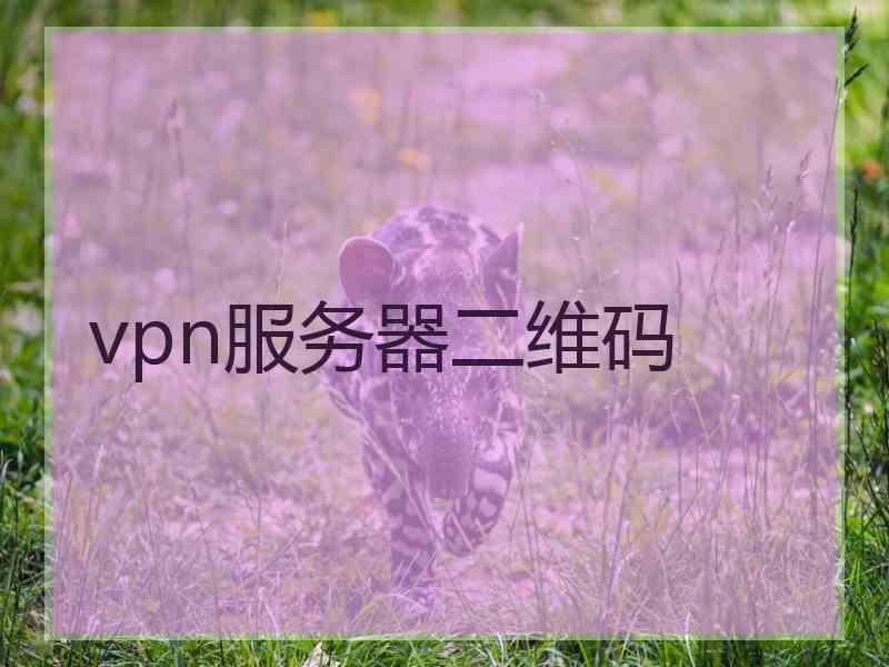 vpn服务器二维码