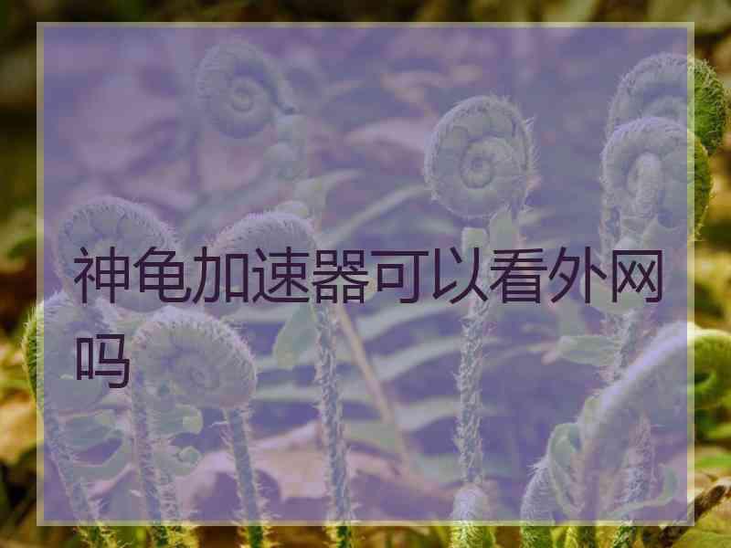 神龟加速器可以看外网吗