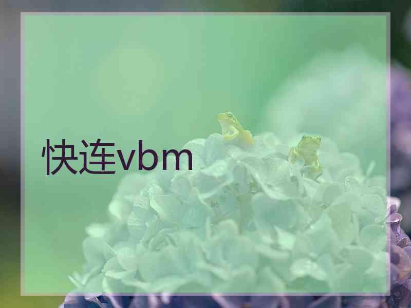 快连vbm