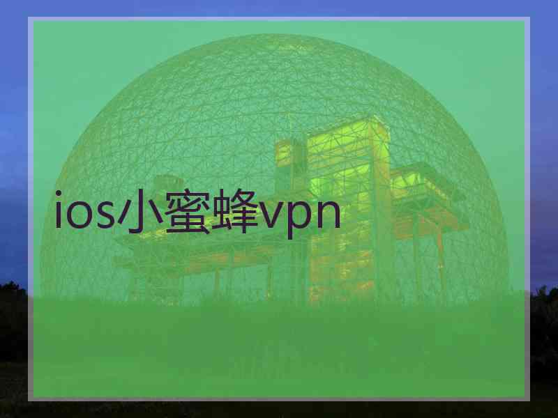 ios小蜜蜂vpn