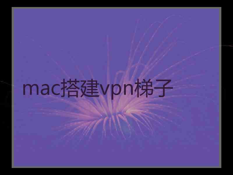 mac搭建vpn梯子