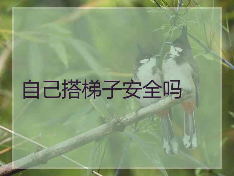 自己搭梯子安全吗