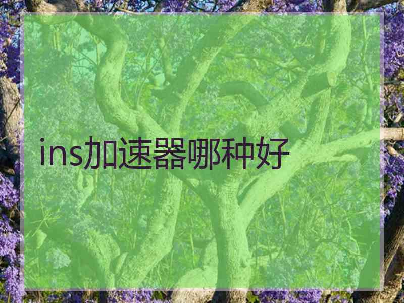 ins加速器哪种好