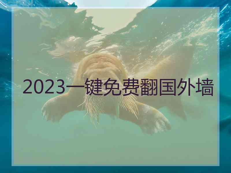 2023一键免费翻国外墙