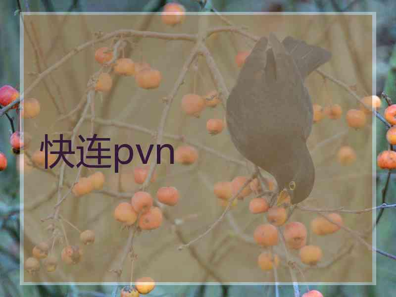 快连pvn