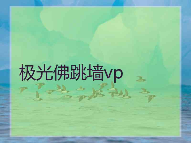 极光佛跳墙vp