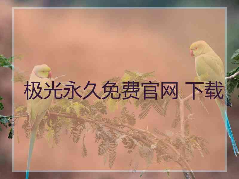 极光永久免费官网 下载