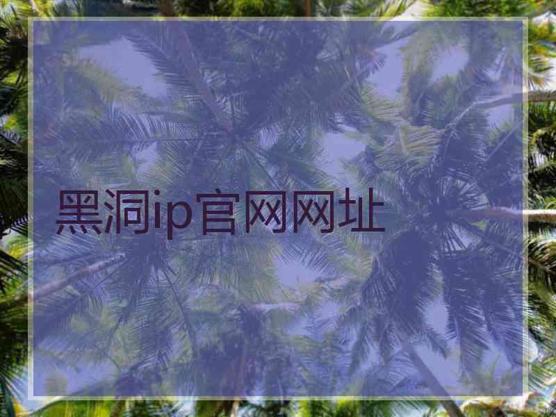 黑洞ip官网网址