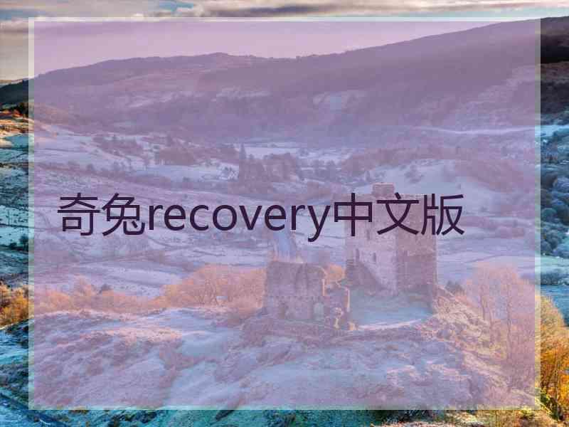 奇兔recovery中文版