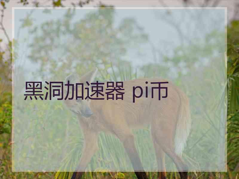 黑洞加速器 pi币