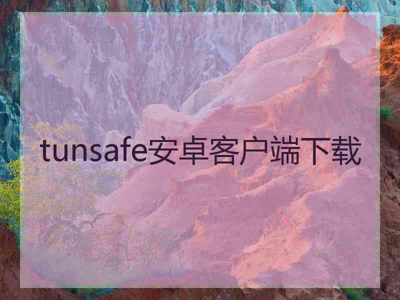 tunsafe安卓客户端下载