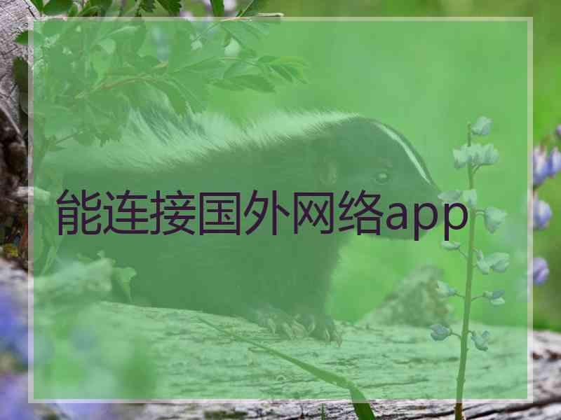 能连接国外网络app